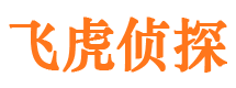 齐河市私家侦探